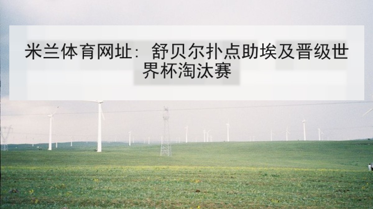 米兰体育网址: 舒贝尔扑点助埃及晋级世界杯淘汰赛