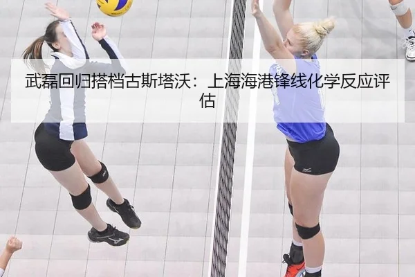 武磊回归搭档古斯塔沃：上海海港锋线化学反应评估