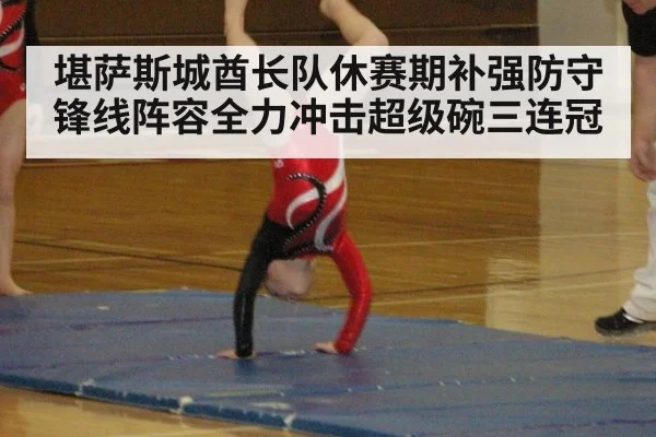 堪萨斯城酋长队休赛期补强防守锋线阵容全力冲击超级碗三连冠